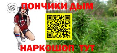 крисы Сланцы