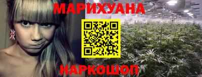 крисы Сланцы