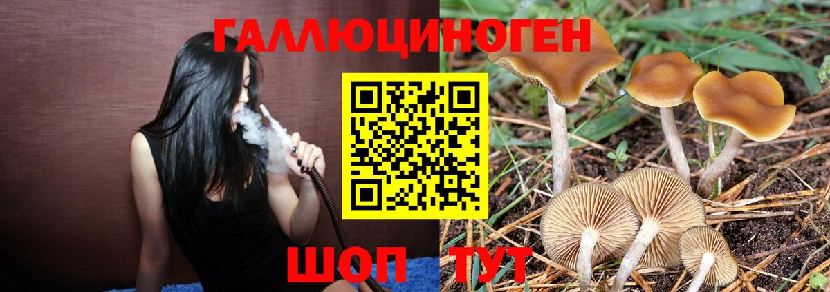Псилоцибиновые грибы ЛСД  Вход с VPN  Назарово 